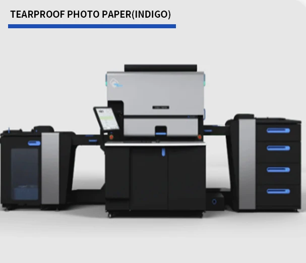 Image Level Pp Matte Indogo Pp Film